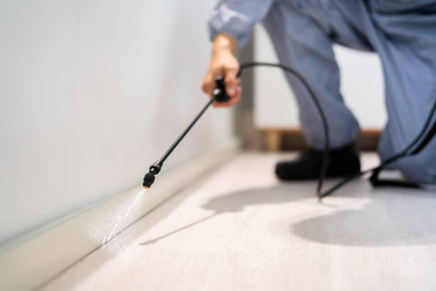 Licensed Cockroach Control service in Alhambra, CA - Nex Pest Control