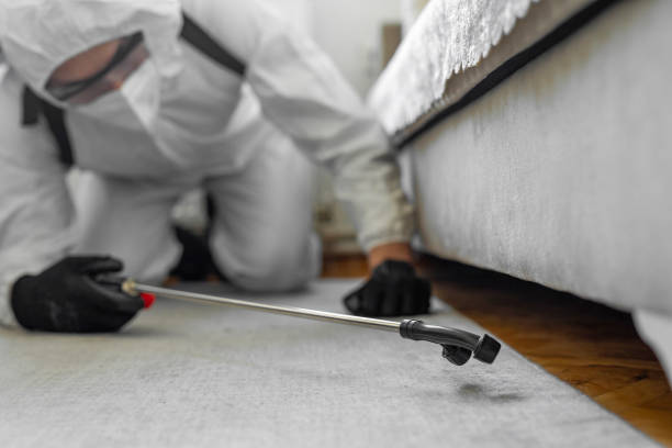 Professional Cockroach Control technician working in Alhambra, CA