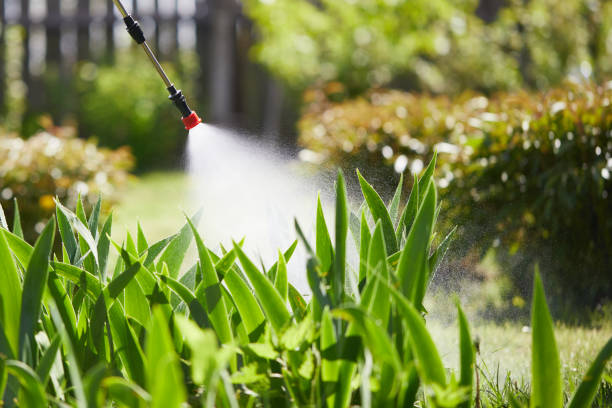 24/7 Emergency Cockroach Control experts in Alhambra, CA