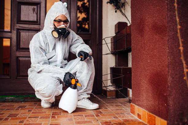 Reliable Cockroach Control contractor in Alhambra, CA by Nex Pest Control